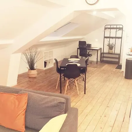 Apartment Les Toits De Jean Jacques Rousseau *